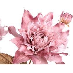 PTMD Gedroogde Dahlia Droogbloem - 27x38x79 cm  - Kunststof - Paars