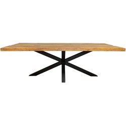 Eetkamertafel Denver | Rechthoek matrixpoot | 160 cm