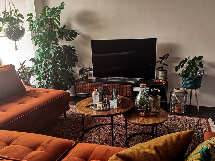 woonkamer met planten oranje bank