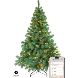 Kerstboom Excellent Trees® LED Stavanger 300 cm met 850 LED Lampjes Kerstboom - ⌀170cm - ↕300cm