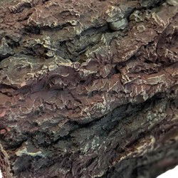 Repto Aquadistri deco bark xl