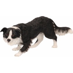 Honden beeldje Border Collie 17 cm - Beeldjes