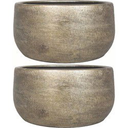 Floran Bloempot/plantenpot Mira - 2x - industrieel goud - keramiek - binnen - Plantenpotten