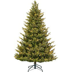 Black Box Kunstkerstboom Clive - 142x142x215 cm - PVC/Polyethyleen - Groen - 280LED