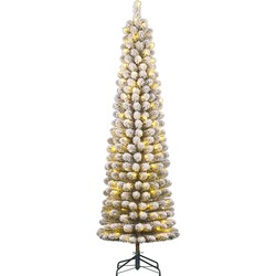 Black Box Trees Charlton Smalle Kunstkerstboom met Warm Witte LED Verlichting - H230 x Ø58 cm - Groen Frosted