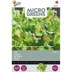 5 stuks - Saatgut Microgreens Kopfsalat gemischt - Buzzy