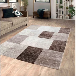 Modern vloerkleed - Lima Geblokt Bruin / Beige - 80 X 150 CM