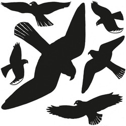 12x Vogelwering stickers voor binnen/buiten 30 x 30 cm - Vogelverjagers