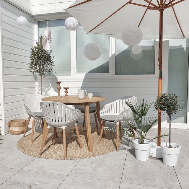 Shoppen: de leukste boompjes voor op je balkon of terras met bijpassende potten