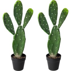 Set van 2x stuks atmosphera cactus kunstplanten in kunststof pot 60 cm - Kunstplanten