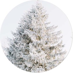 Muurcirkel Witte Kerstboom