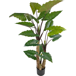 Hoyz Greenery - Kunstplant Calocasia 210 cm