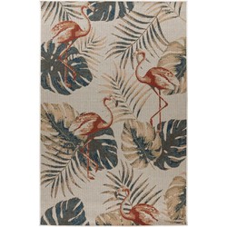 Tapijtenloods Capri Flamingo - In & Outdoor Tapijt - Laagpolig Vloerkleed Binnen en Buiten - Multi- 160x230 CM