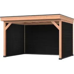 Douglas DIY overkapping, 400 x 300, met achterwand en twee zijwanden, Westwood, zwart gespoten