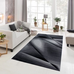 Torino Modern vloerkleed - zwart - 200 X 290 CM