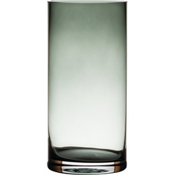 Glazen bloemen cylinder vaas/vazen 25 x 12 cm transparant grijs - Vazen