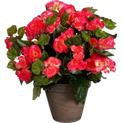 Mica Decorations Begonia Kunstbloem - 36x36x37 cm - Donkerroze