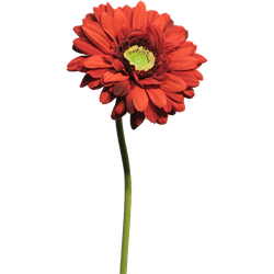 Gerbera Nice red 48 cm kunstbloem