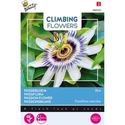 3 stuks - Flowering climbers passiflora caerulea - Buzzy