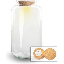 URBANJNGL - Terrarium met kurk - Sven XL fles - Gesloten terrarium ↑ 43 cm
