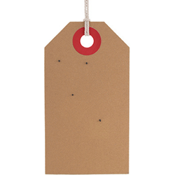 Present Time - Memo Board Tag - Roze