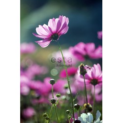 ESTAhome fotobehang veldbloemen roze
