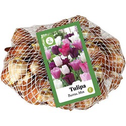 Tulipa Pastel mix, 35 bloembollen