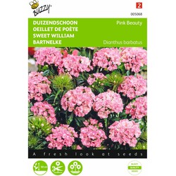 2 stuks - Dianthus barbatus Pink Beauty - Buzzy
