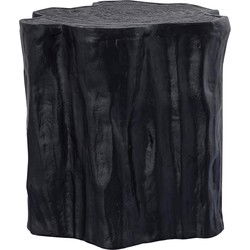 PTMD Bijzettafel Fennah - 37x33x36 cm - Hout - Zwart