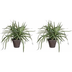 2x stuks dracaena kunstplanten groen in grijze pot H34 cm x D40 cm - Kunstplanten