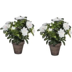 2x Groene Azalea kunstplanten met witte bloemen 27 cm met pot stan grey - Kunstplanten