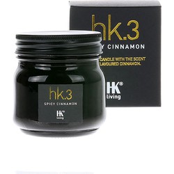 HK.3 glass soy candle spicy cinnamon