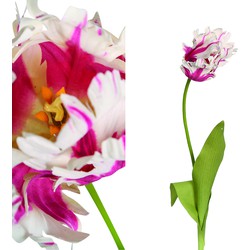 Tulip Flower - 7.5 x 10.0 x 64.5 cm