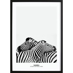 Zebra Hug Poster (21x29,7cm)
