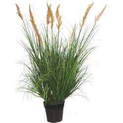 Greenmoods Kunst Grasplant Struisriet - Calamagrostis - Nep plant - 1 Stuk - 80cm