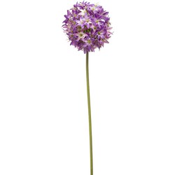 Emerald Allium/Sierui kunstbloem - losse steel - paars - 60 cm - Natuurlijke uitstraling - Kunstbloemen