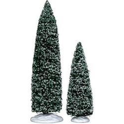 Snowy juniper tree large & medium