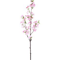 PTMD Kunstbloem Bloesem - 50x30x95 cm - Plastic - Roze