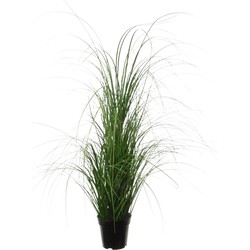 Louis Maes Quality kunstplant - Siergras bush - donkergroen - H110 cm - in pot - Kunstplanten