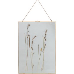 BePureHome Pressed Fotolijst Droogbloemen - Goud - Set van 2