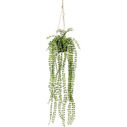 Seidenpflanze Hängepflanze mit Topf Ficus Pumila Kunstpflanze Kollektion - Driesprong Collection