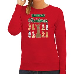 Bellatio Decorations foute kersttrui/sweater dames - All I want for Christmas - rood - piemel/penis 2XL - kerst truien