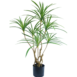 Hoyz Greenery - Kunstplant Dracaena 90 cm