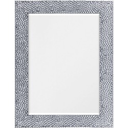 Zilveren Spiegel Modern 57x77 cm - Rahel | Perfecthomeshop