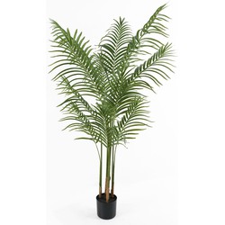 Kunstplant Kwai Tree - Groen - 60x60x140cm