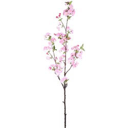 PTMD Kunstbloem Bloesem - 50x30x95 cm - Plastic - Roze