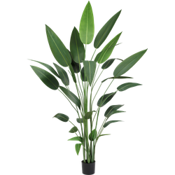 Greenmoods Heliconia - Helikonplant - Kunstplant - 1 Stuk - 210cm - Groen