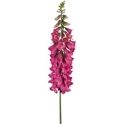 Vingerhoedskruid 127 cm Fuchsia kunstplant