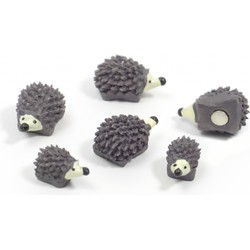 Trendform Magnetische Egel - set van 6 verschillende