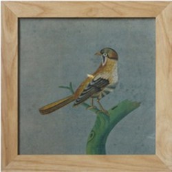 Fine Asianliving Chinees Schilderij met Lijst Vogel op Takje B42xH42cm